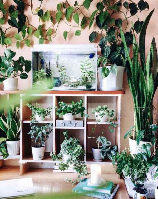 Taman dalam ruangan yang memberikan kesan segar